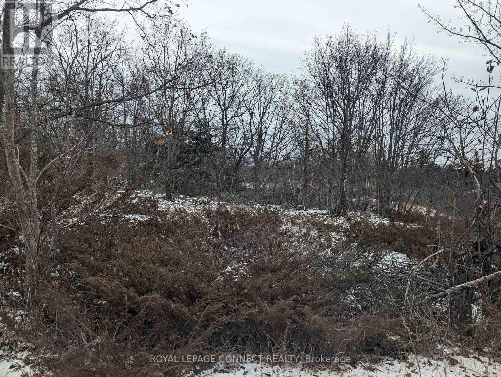 Pt Lt 12 Con 7 Kaladar, Addington Highlands, Ontario  K0K 1Z0 - Photo 21 - X10874884
