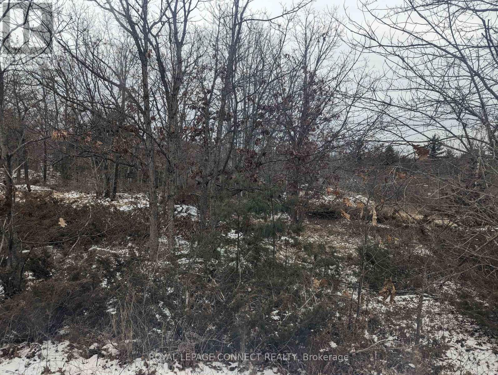 Pt Lt 12 Con 7 Kaladar, Addington Highlands, Ontario  K0K 1Z0 - Photo 22 - X10874884