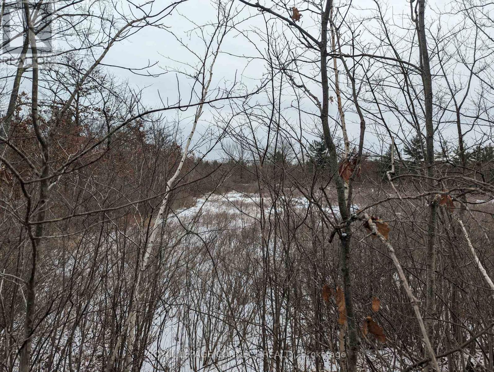 Pt Lt 12 Con 7 Kaladar, Addington Highlands, Ontario  K0K 1Z0 - Photo 25 - X10874884