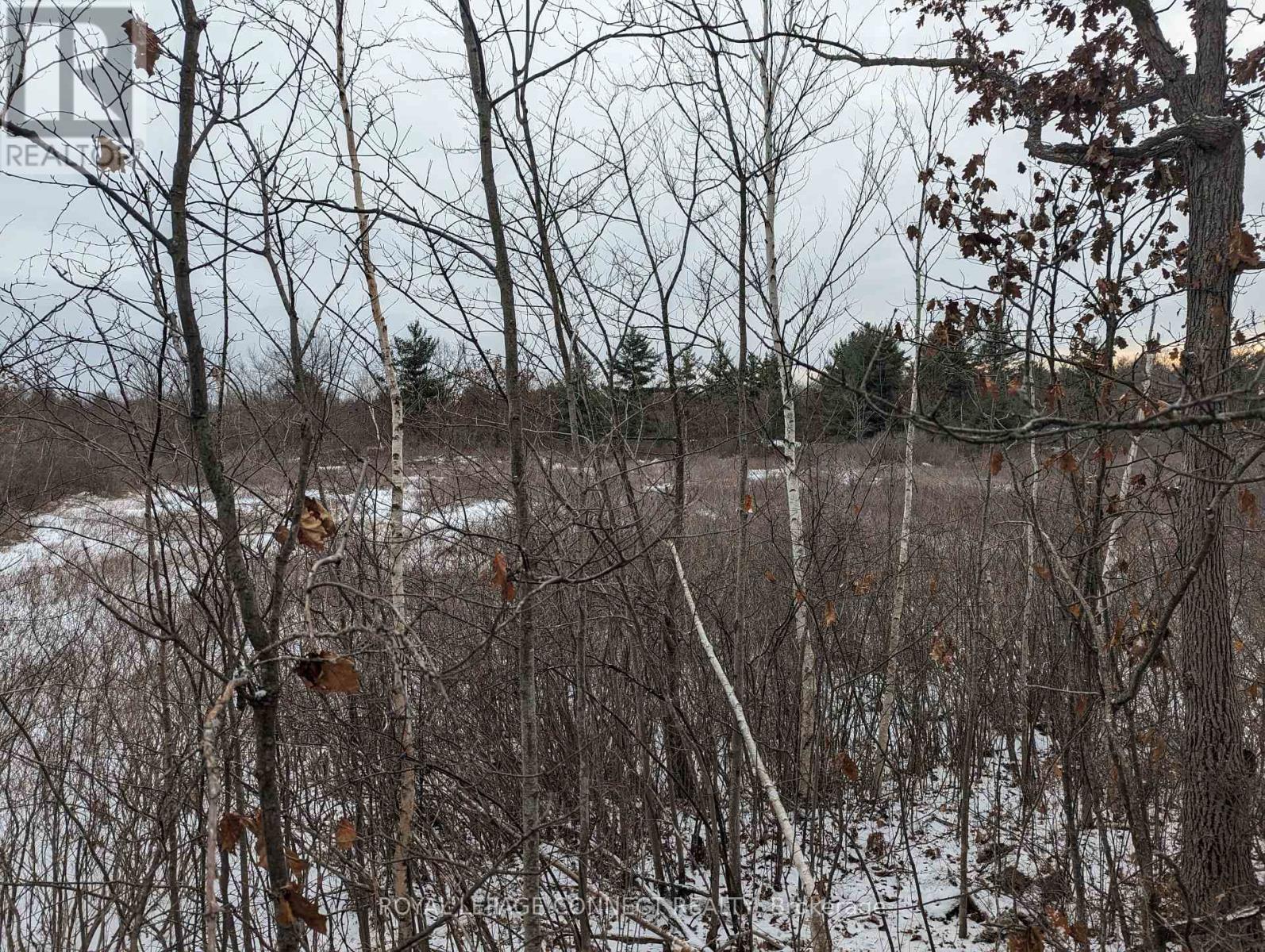 Pt Lt 12 Con 7 Kaladar, Addington Highlands, Ontario  K0K 1Z0 - Photo 26 - X10874884