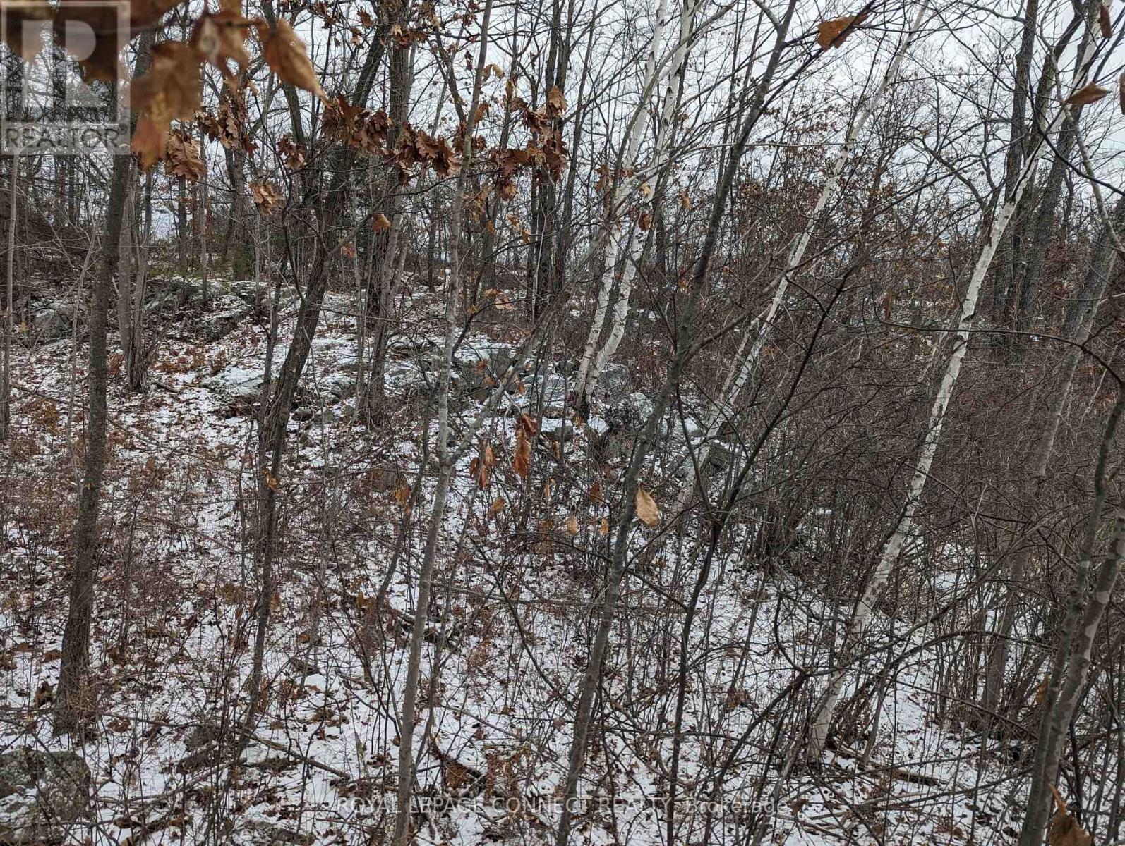 Pt Lt 12 Con 7 Kaladar, Addington Highlands, Ontario  K0K 1Z0 - Photo 27 - X10874884