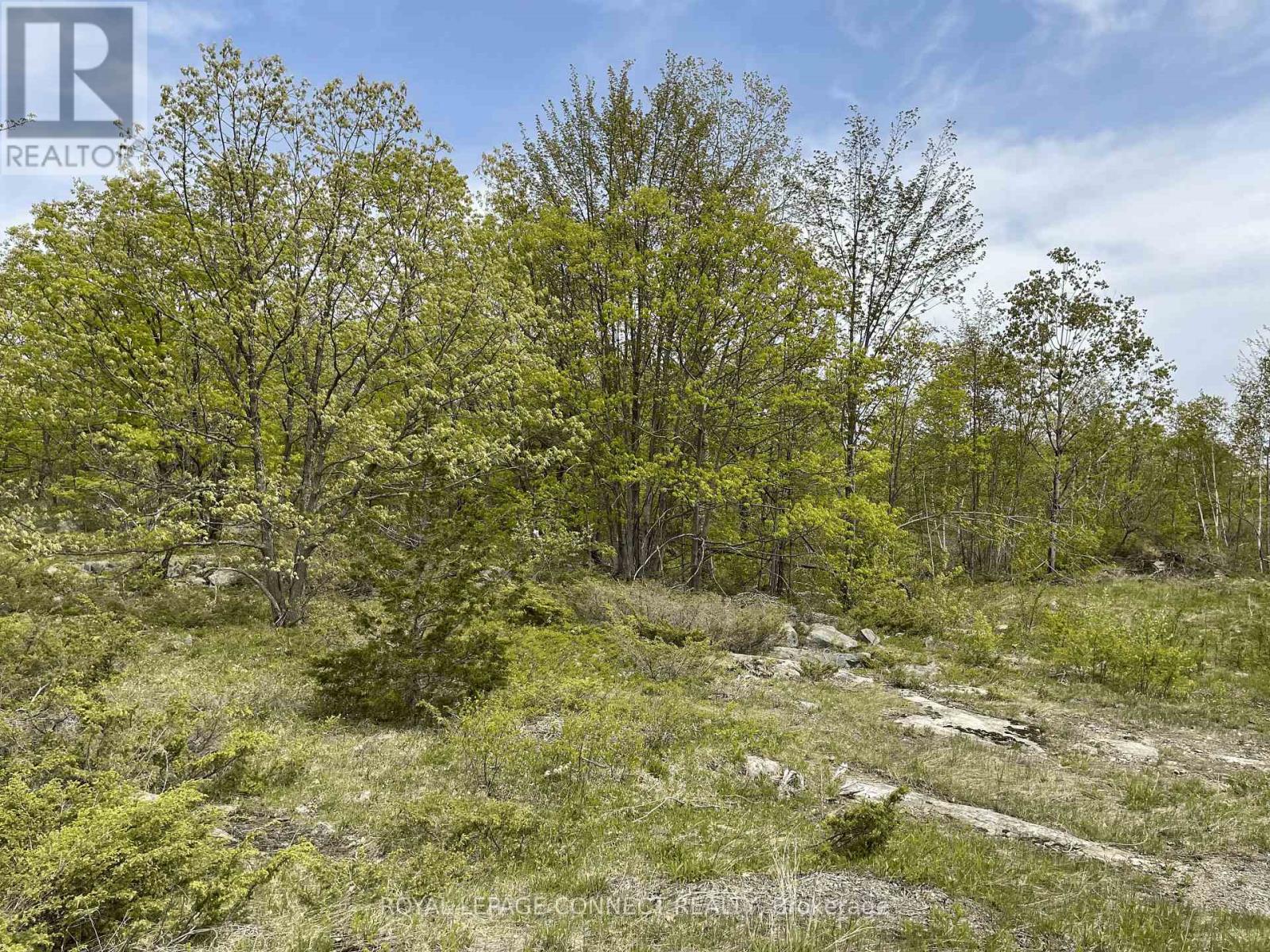 Pt Lt 12 Con 7 Kaladar, Addington Highlands, Ontario  K0K 1Z0 - Photo 3 - X10874884