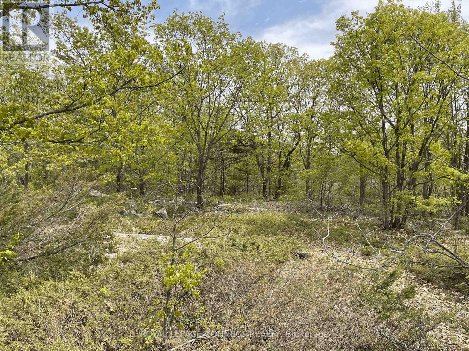 Pt Lt 12 Con 7 Kaladar, Addington Highlands, Ontario  K0K 1Z0 - Photo 5 - X10874884