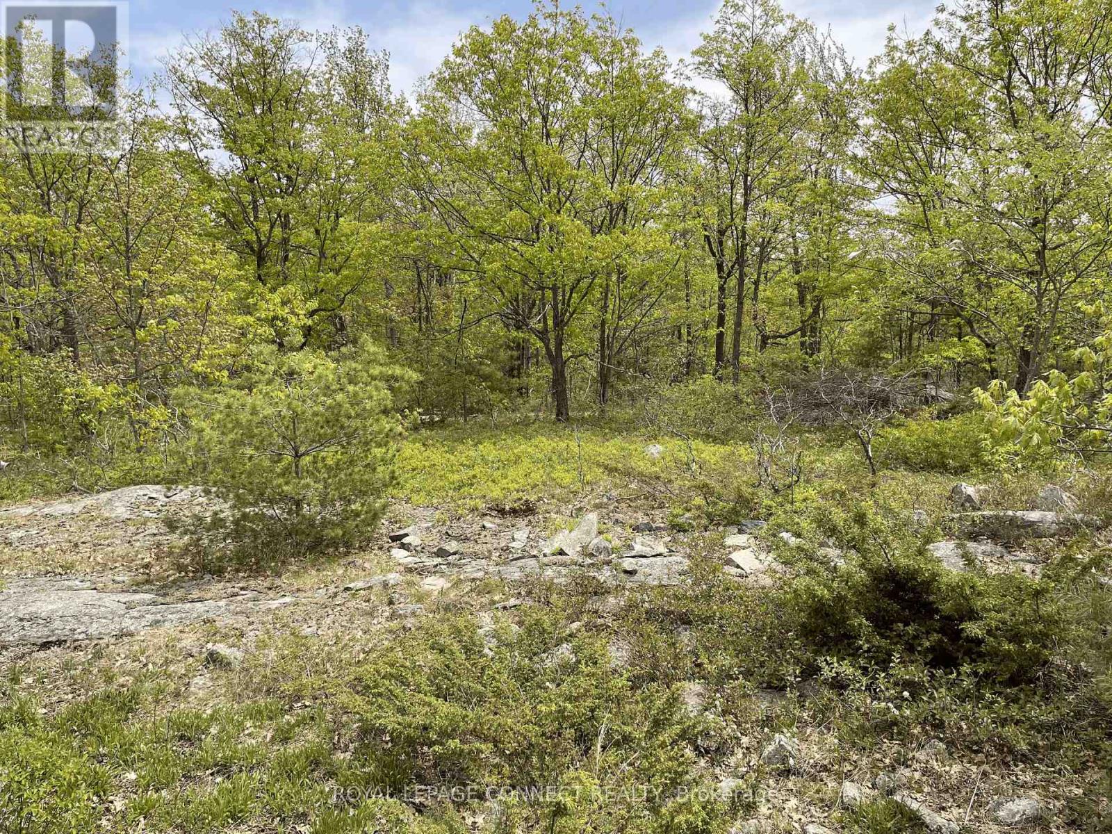 Pt Lt 12 Con 7 Kaladar, Addington Highlands, Ontario  K0K 1Z0 - Photo 6 - X10874884