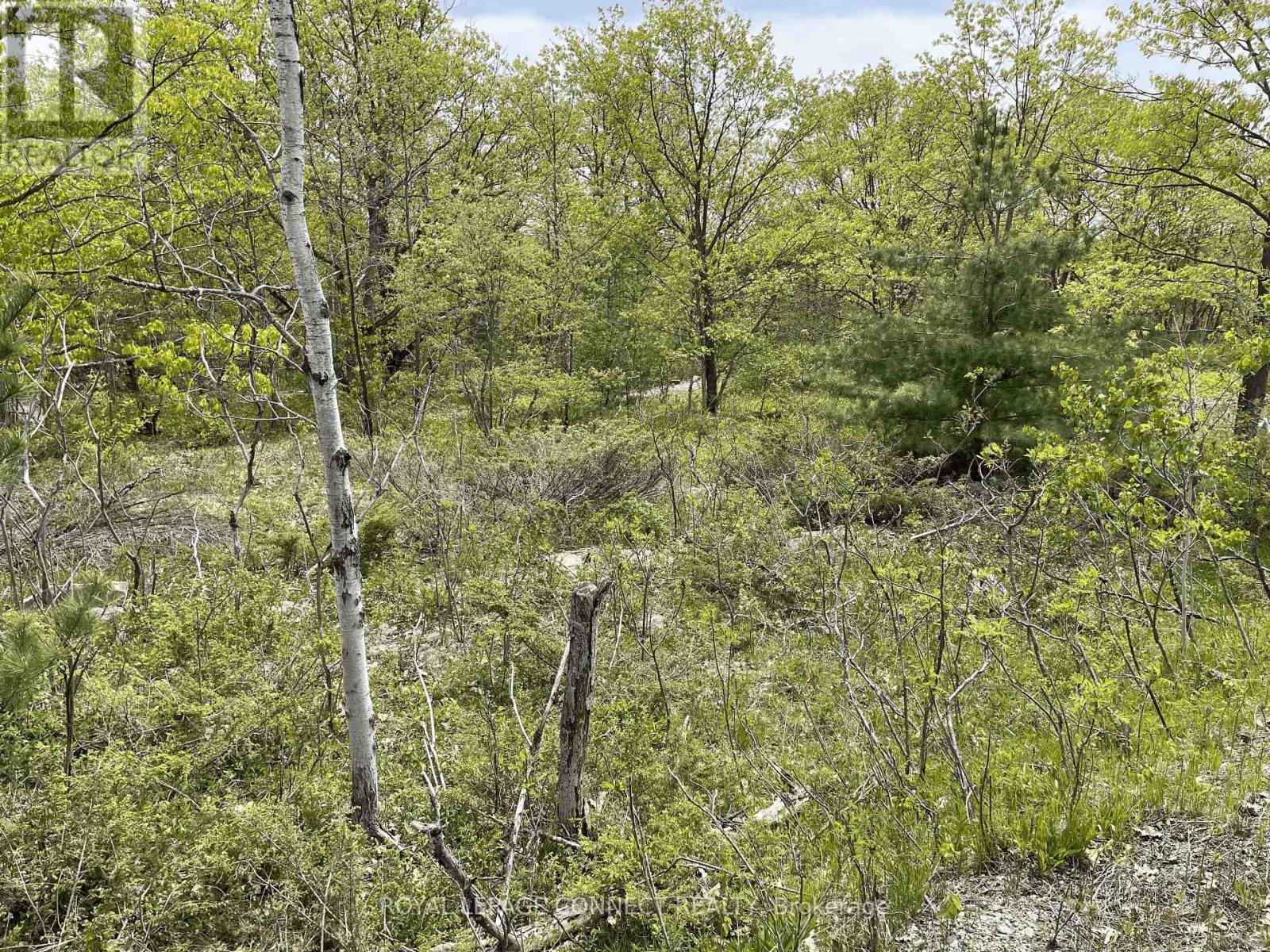 Pt Lt 12 Con 7 Kaladar, Addington Highlands, Ontario  K0K 1Z0 - Photo 8 - X10874884