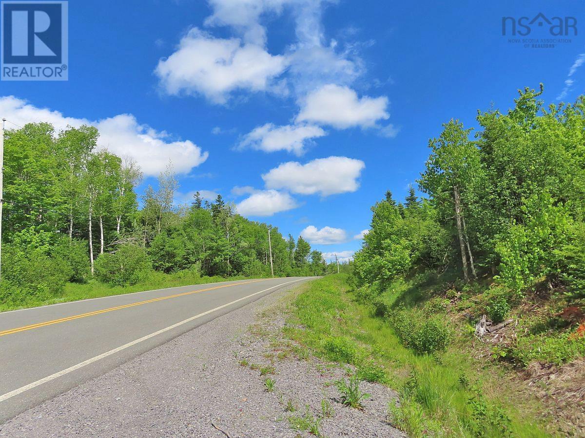 116.5 Acres 348 Highway, West River Road, Smithfield, Nova Scotia  B0H 1E0 - Photo 6 - 202403305