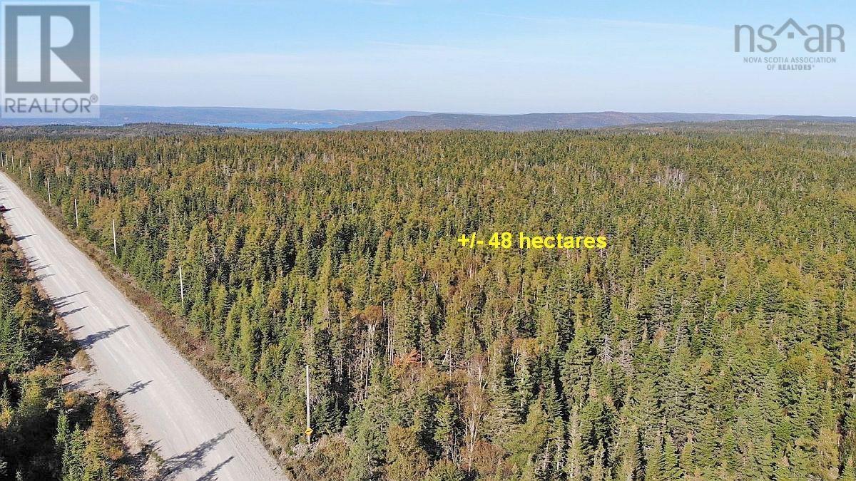 Lot 10 Loch Lomond Road, Big Pond, Nova Scotia  B1J 1R4 - Photo 20 - 202411605