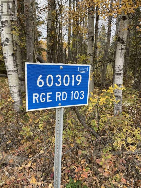 603019 Range Road 103, Blue Ridge, Alberta  T7S 1A1 - Photo 10 - A2178718