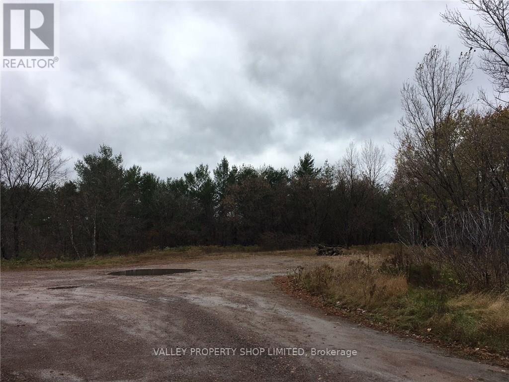 3532 Petawawa Boulevard, Petawawa, Ontario  K8A 1W9 - Photo 7 - X10845545