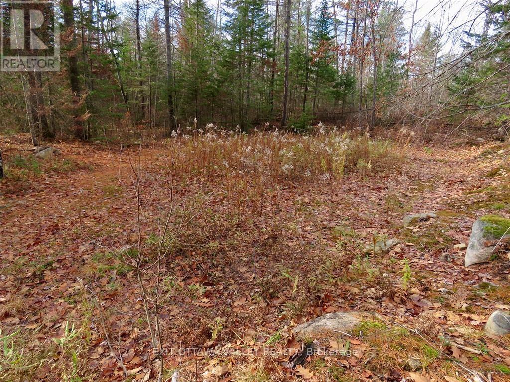 2411 Paugh Lake Road, Madawaska Valley, Ontario  K0J 1B0 - Photo 4 - X9465018