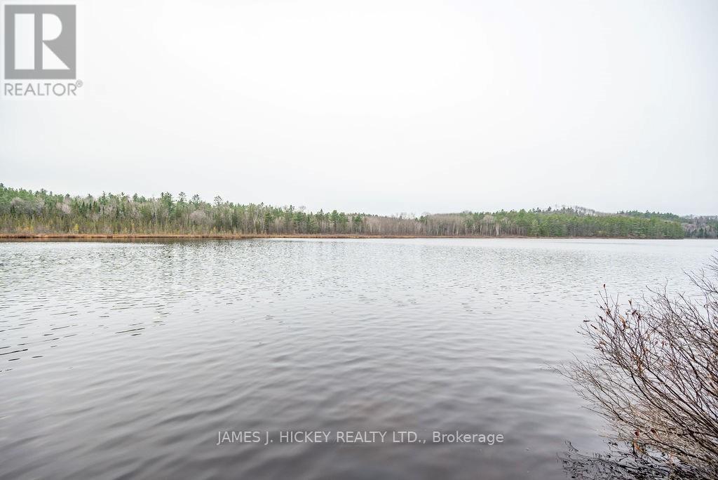 Pt Lt 15 Bronson Road, Laurentian Hills, Ontario  K0J 1P0 - Photo 16 - X9465887