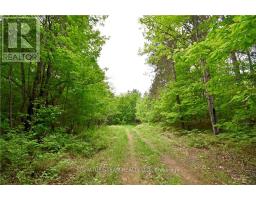 455 PASSAW ROAD, North Algona Wilberforce, Ontario