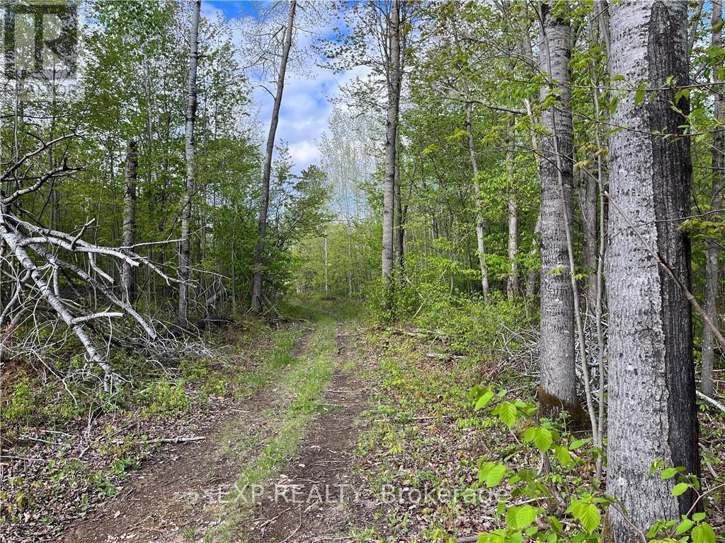 LOT 8 CASSON TRAIL Madawaska Valley (570 - Madawaska Valley)