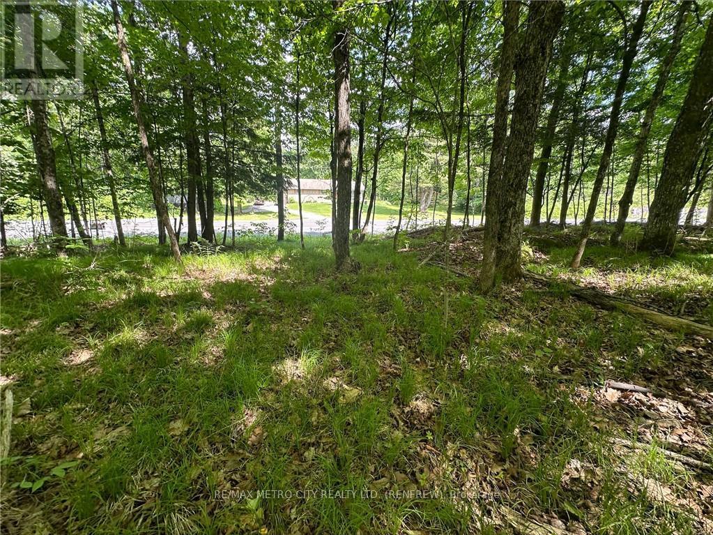 00 Calabogie Road, Mcnab/braeside, Ontario  K7S 3G8 - Photo 6 - X9515495