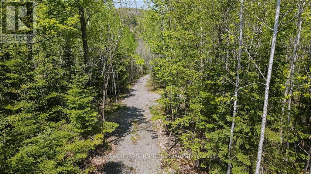 38986a Combermere Road, Madawaska Valley, Ontario  K0J 1L0 - Photo 11 - X9515585