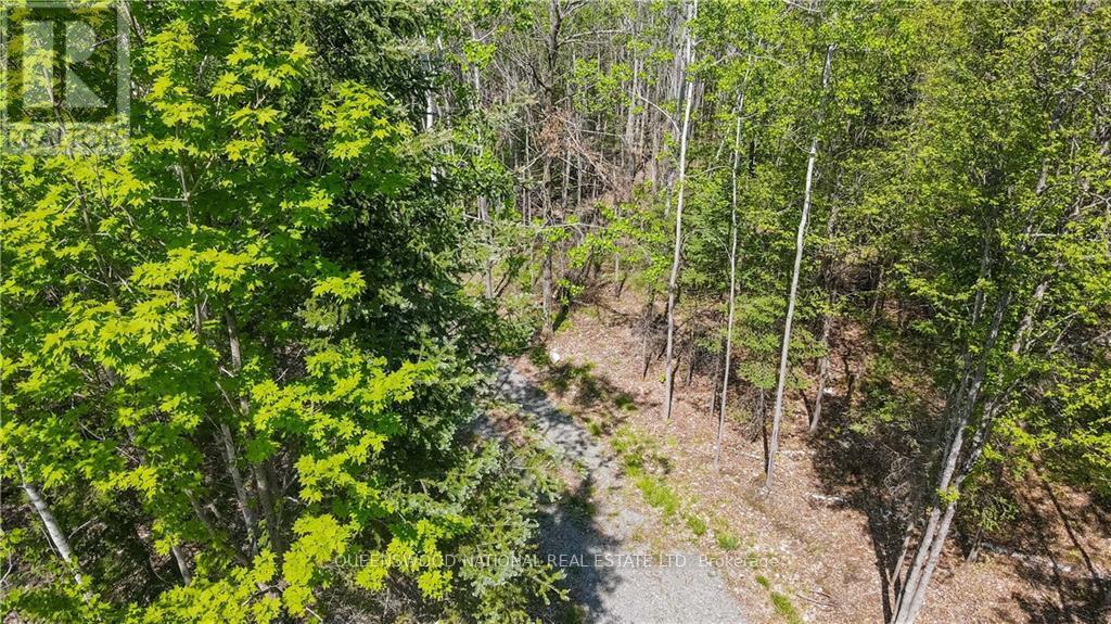 38986a Combermere Road, Madawaska Valley, Ontario  K0J 1L0 - Photo 24 - X9515585
