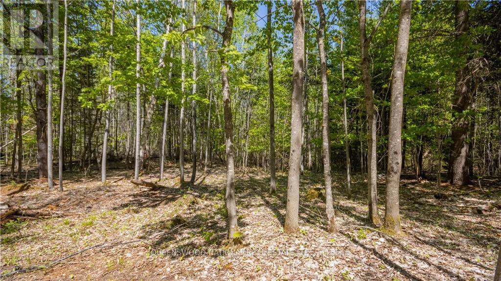 38986a Combermere Road, Madawaska Valley, Ontario  K0J 1L0 - Photo 29 - X9515585