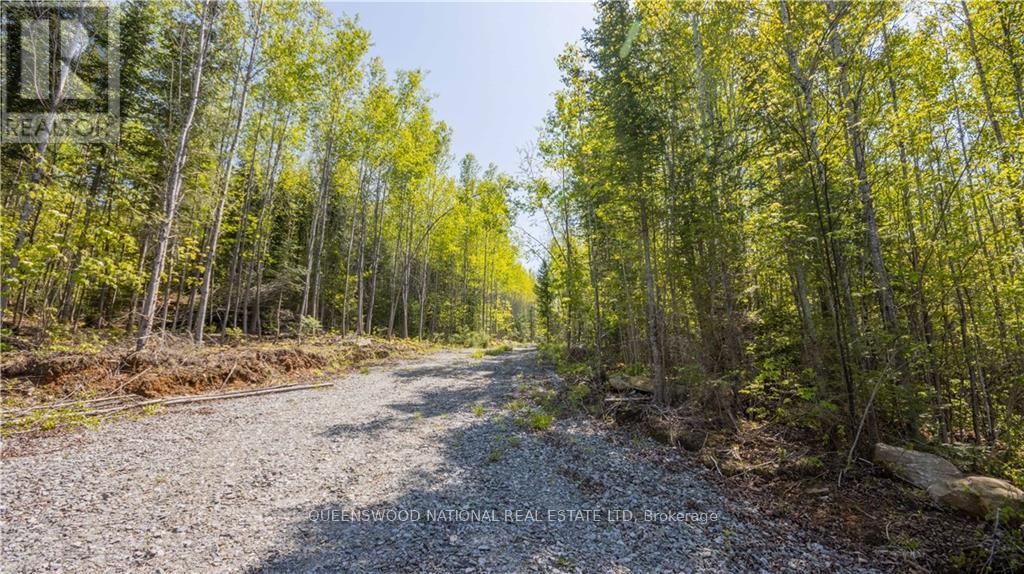 38986a Combermere Road, Madawaska Valley, Ontario  K0J 1L0 - Photo 3 - X9515585
