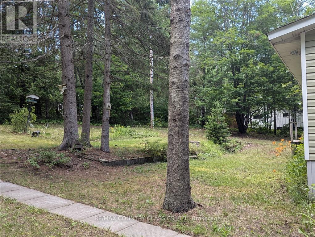 107 Blackfish Bay Road, Madawaska Valley, Ontario  K0J 1B0 - Photo 30 - X9516098