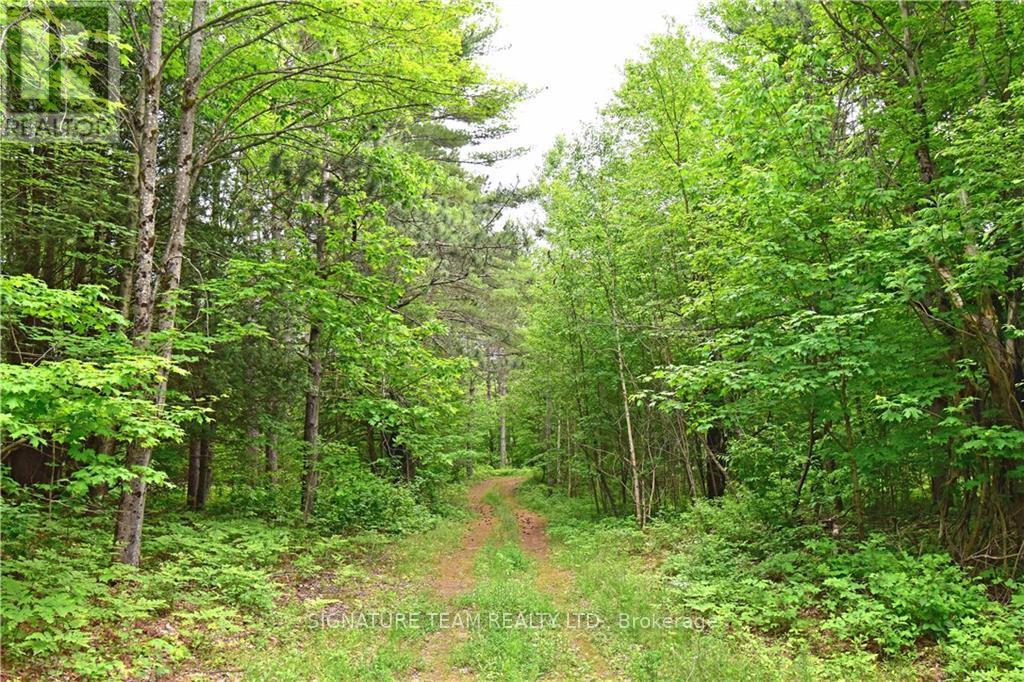 455 Passaw Road, North Algona Wilberforce, Ontario  K0J 1T0 - Photo 16 - X9515345