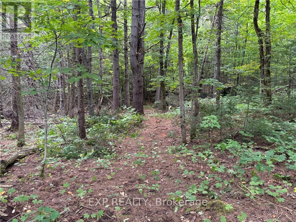 0 Foymount Road, Bonnechere Valley, Ontario  K0J 1T0 - Photo 15 - X9519177