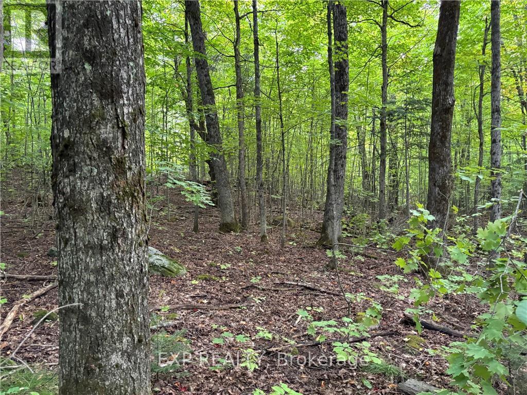 0 Foymount Road, Bonnechere Valley, Ontario  K0J 1T0 - Photo 8 - X9519177