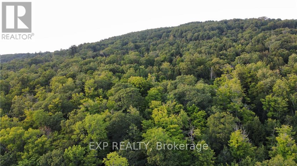 Lot A Chippawa Road, Madawaska Valley, Ontario  K0J 1B0 - Photo 18 - X9519297