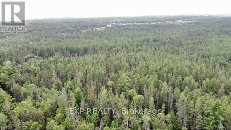 Lot B Chippawa Road, Madawaska Valley, Ontario  K0J 1B0 - Photo 18 - X9519314