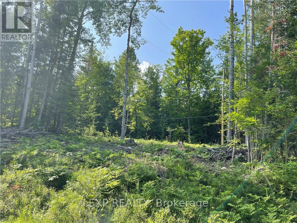 Lot B Chippawa Road, Madawaska Valley, Ontario  K0J 1B0 - Photo 4 - X9519314