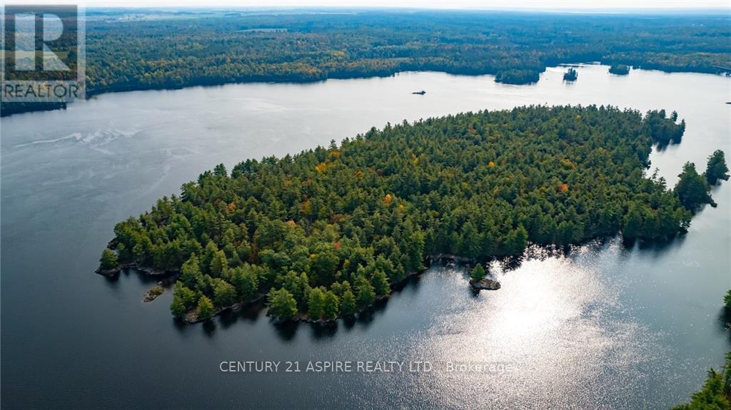950 Kerr Line, Whitewater Region, Ontario  K0J 1K0 - Photo 11 - X9522540