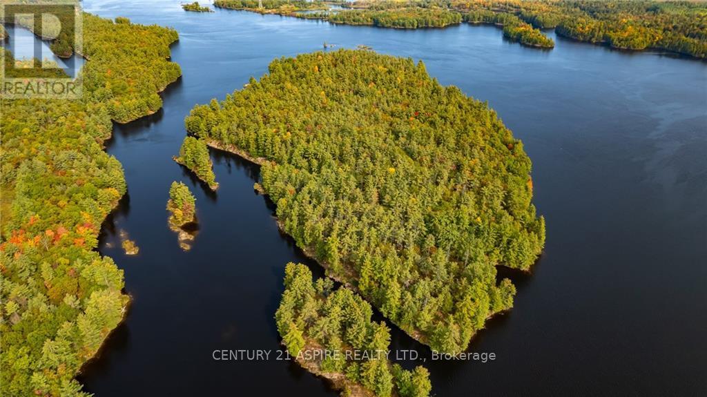 950 Kerr Line, Whitewater Region, Ontario  K0J 1K0 - Photo 16 - X9522540