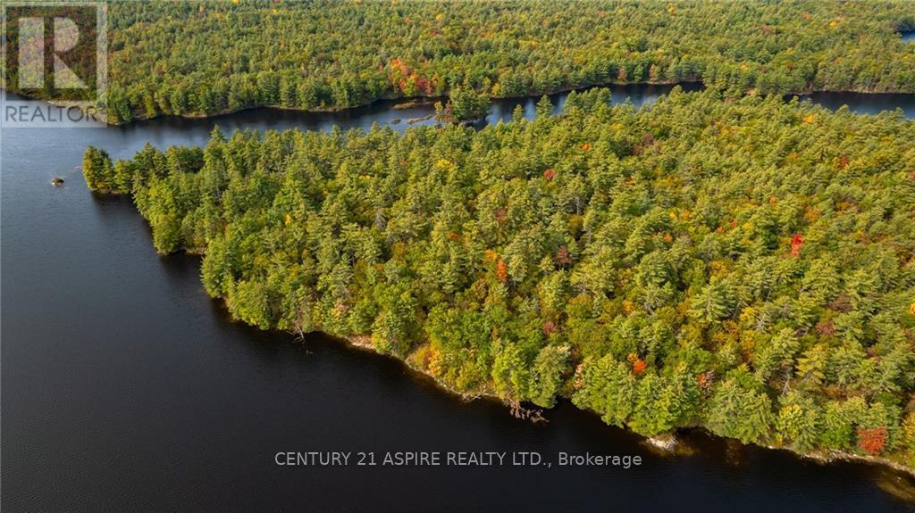 950 Kerr Line, Whitewater Region, Ontario  K0J 1K0 - Photo 22 - X9522540