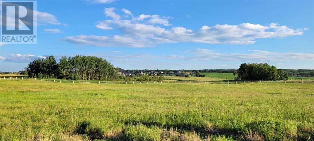 32103 Badger Road, Rural Rocky View County, Alberta  T4C 1A2 - Photo 3 - A2160104