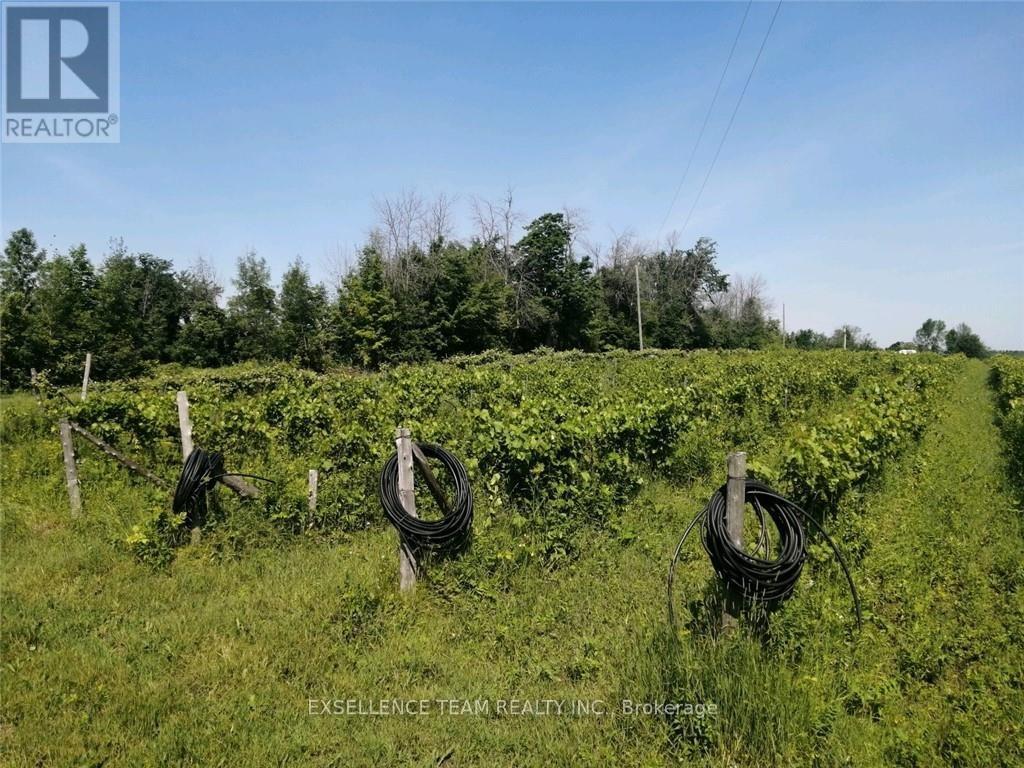 19307 Kenyon Concession Road 7 Road, North Glengarry, Ontario  K0C 1J0 - Photo 10 - X9517406