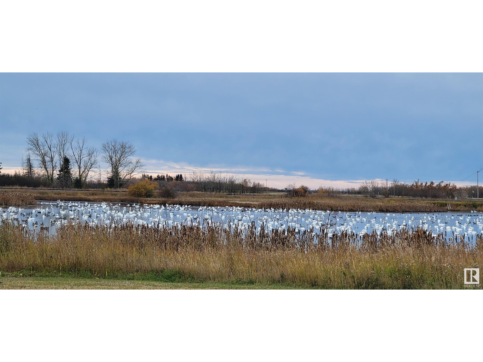 5028 50 AV, Holden, Alberta