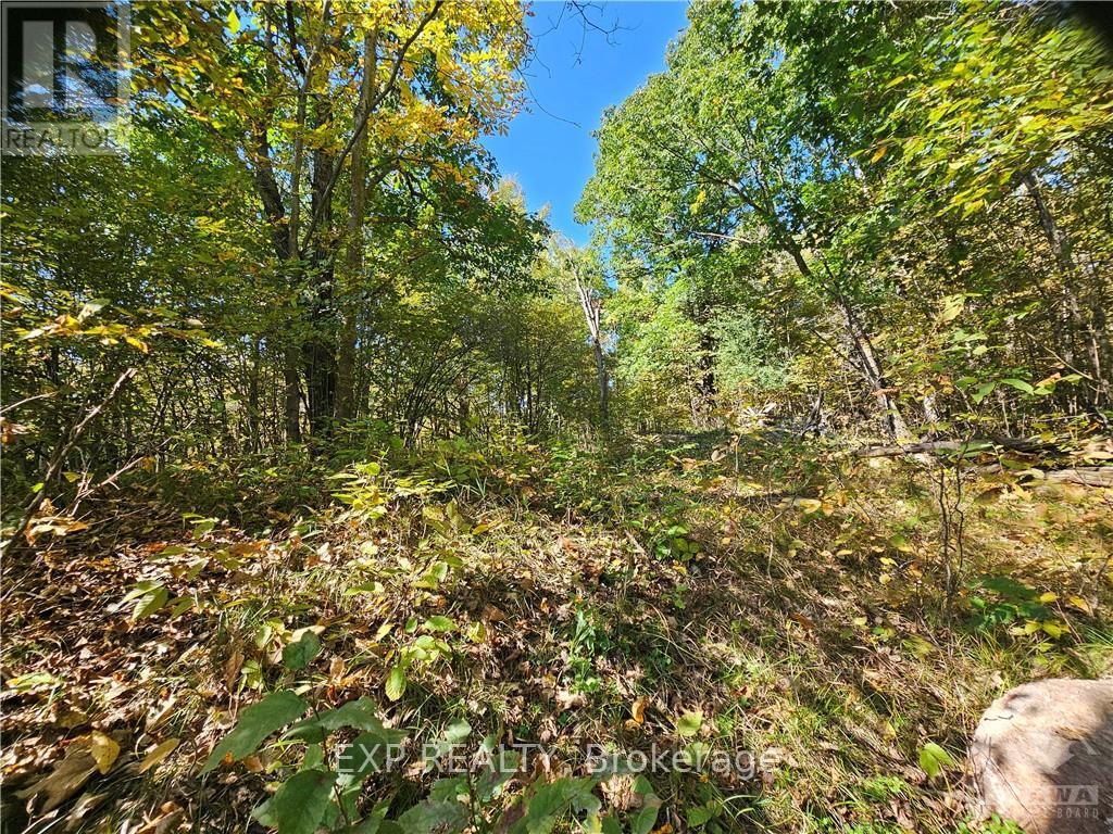 752 Bennett Lake Road, Tay Valley, Ontario  K0G 1A0 - Photo 9 - X10433906