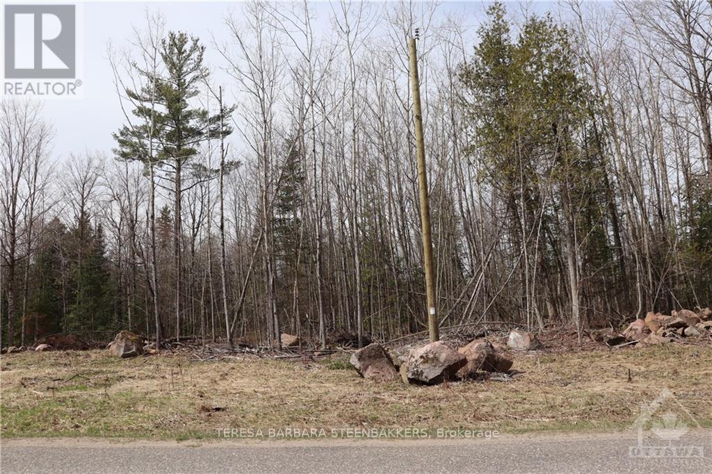 462 Wilson Farm Road, Renfrew, Ontario  K0J 1H0 - Photo 6 - X9515372