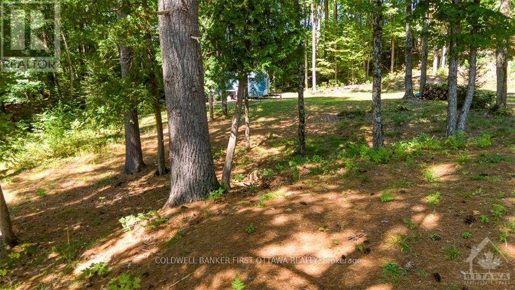 1280 Swaugers Creek Lane, North Frontenac (Frontenac North), Ontario  K0H 1C0 - Photo 9 - X9518245