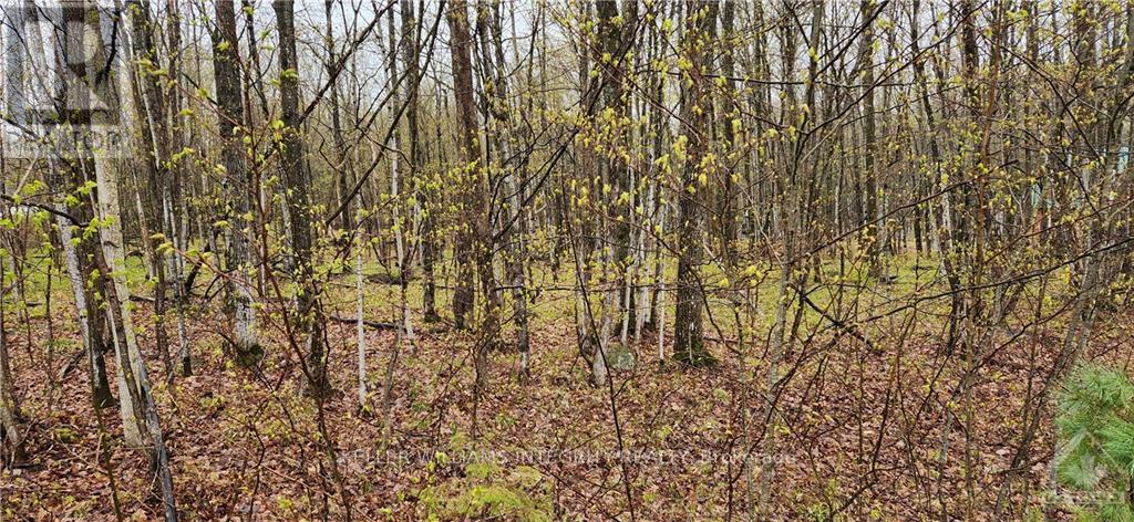 Lot 15 Hollie Drive, Lanark Highlands, Ontario  K0G 1M0 - Photo 2 - X9515107