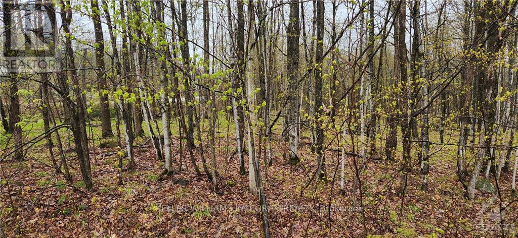 Lot 15 Hollie Drive, Lanark Highlands, Ontario  K0G 1M0 - Photo 4 - X9515107
