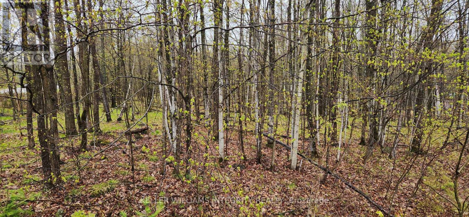 Lot 10 & 11 Hollie Drive, Lanark Highlands (914 - Lanark Highlands (Dalhousie) Twp), Ontario  K0G 1M0 - Photo 2 - X9515108