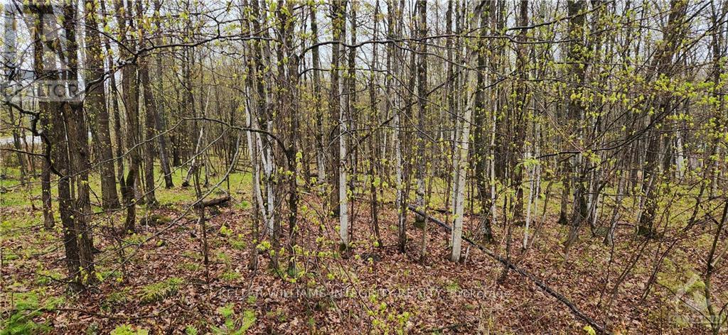 L 10/11 Hollie Drive, Lanark Highlands, Ontario  K0G 1M0 - Photo 3 - X9515108