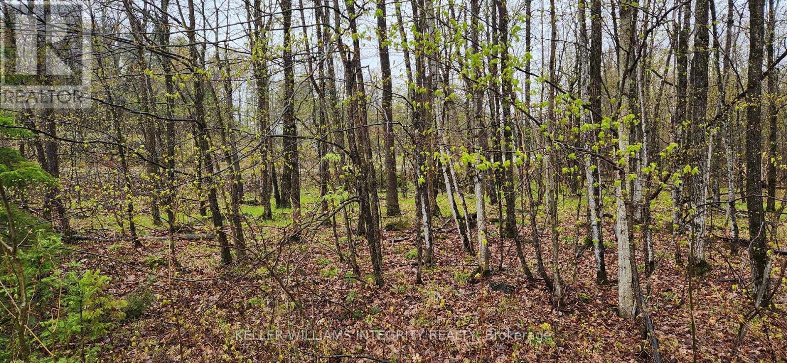 Lot 10 & 11 Hollie Drive, Lanark Highlands (914 - Lanark Highlands (Dalhousie) Twp), Ontario  K0G 1M0 - Photo 7 - X9515108