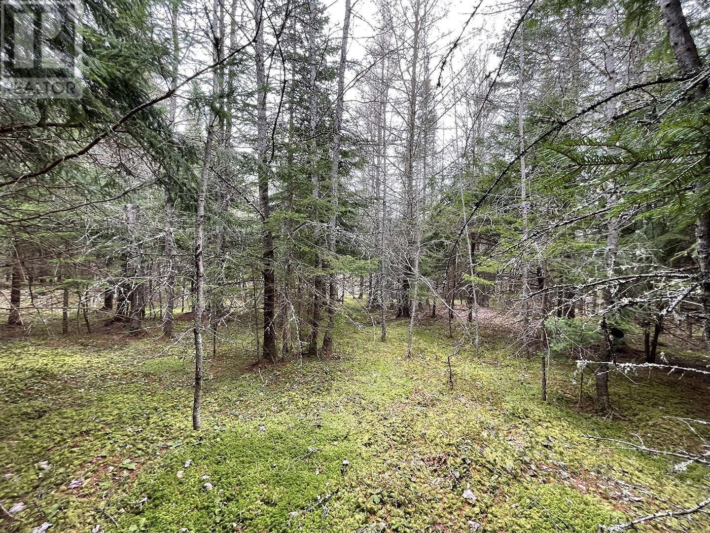 18a Ashfield Road, River Denys, Nova Scotia  B0E 3M0 - Photo 1 - 202426926