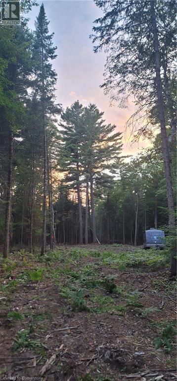 N/a Dwight Beach Road, Dwight, Ontario  P0A 1H0 - Photo 3 - 40681473