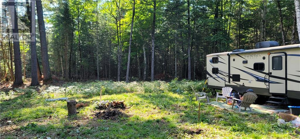 N/a Dwight Beach Road, Dwight, Ontario  P0A 1H0 - Photo 5 - 40681473