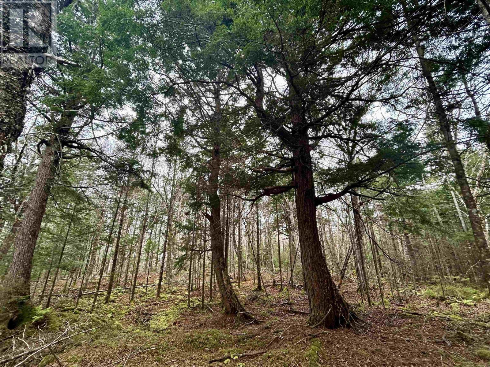 Lot 3ef Militia Point Road, Militia Point, Nova Scotia  B0E 2Y0 - Photo 28 - 202427337