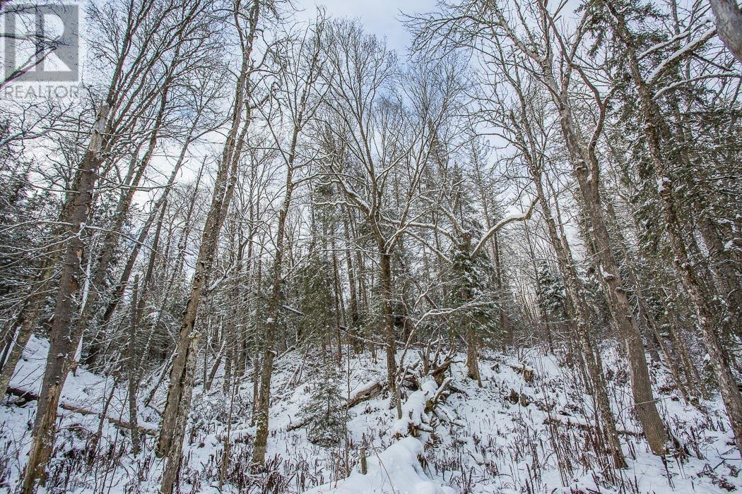 Hopper Road, Huron Shores Township, Huron Shores, Ontario  P0R 1L0 - Photo 35 - SM243021