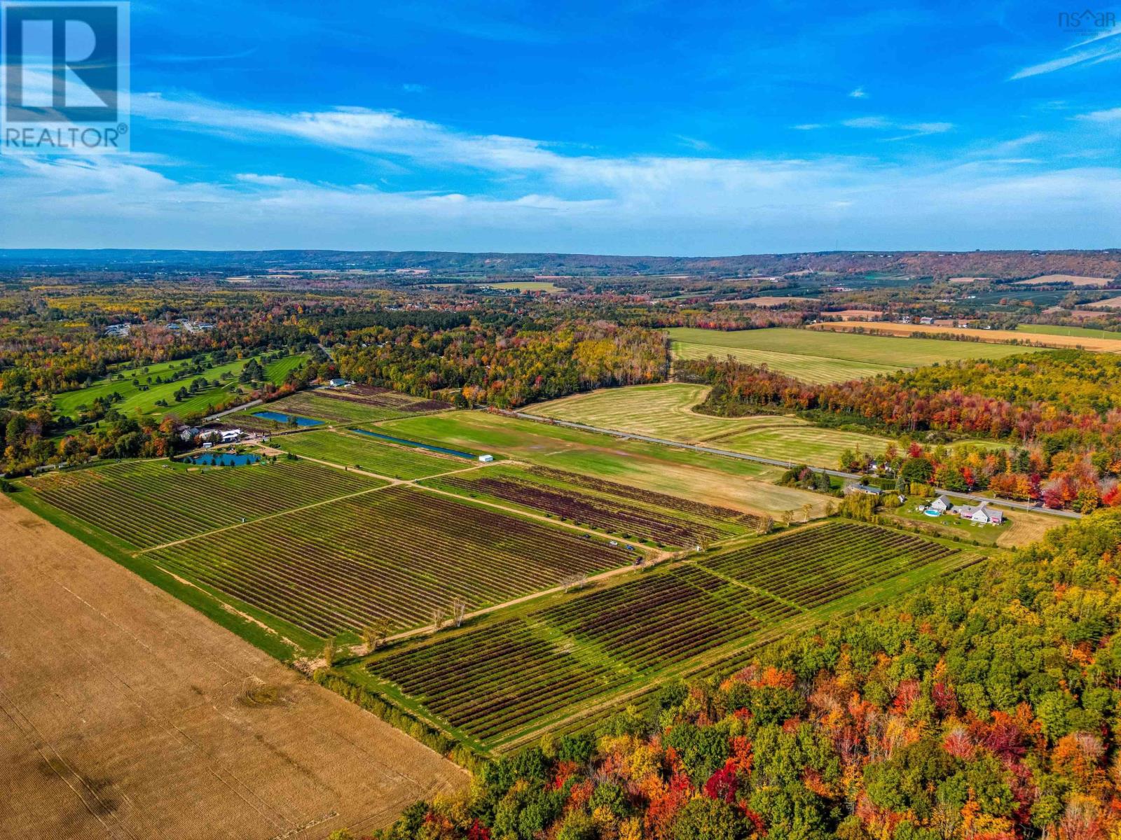 Lorem Ipsum Dolor Sit Ame, Centreville, Nova Scotia  B0P  - Photo 5 - DEMO24977414