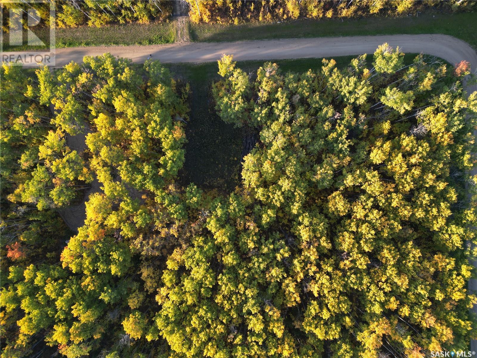 Sunnyside Grove Estates Lot 4, Paddockwood Rm No. 520, Saskatchewan  S0J 0N0 - Photo 5 - SK988883